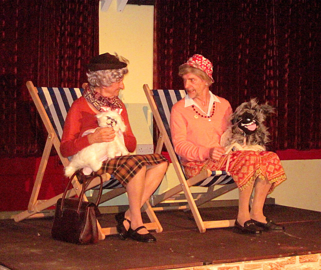 Photograph Bishopsteignton Players Play 'Poison, Passion and Petrifaction' 2010